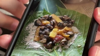 蝸牛小米粽釀3死！最新人體檢驗出爐 病患均驗出劇毒農藥「托福松」