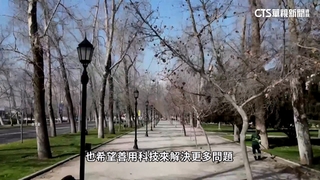 天災釀路樹倒塌扯斷電線　智利推衛星監測防停電