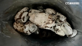 糖霜？發霉？　美式賣場杏桃乾「白色物質」掀議