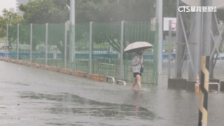 低壓帶影響「雨炸全台」！　雙北路樹倒.階梯變瀑布