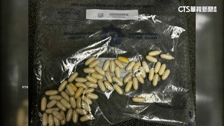 南非海關破毒品走私　納米比亞女肚吞滿古柯鹼遭逮