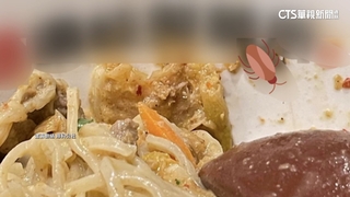 吃烏龍麵驚見小強！當事業者：當日清消門市兩次