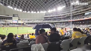 大巨蛋狂漏水！　北市府：若遠雄連2年不改缺失，最重解約