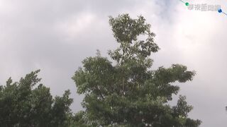 東北風今起影響台灣！準颱風「燕子」估至少中颱 影響時間曝