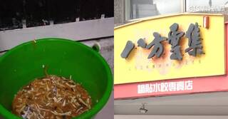 八方雲集分店遭爆「回收桶裝酸辣湯」 總部：即起終止加盟