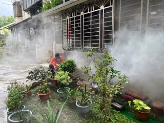 新北再增7例登革熱　曾有天山公園、三介廟及興南夜市活動史