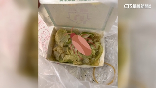 連鎖火雞肉飯白菜滷有「小強」　業者退款.食安處要查