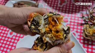 「山陀兒」攪局！　蟹農架隔板防大閘蟹「集體越獄」