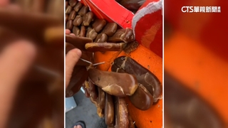 山陀兒攪局東港迎王祭　龍身「上千斤烏魚子」急拆