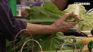 山陀兒颱風還沒登陸　菜價已飆近年新高