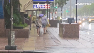 8級狂風襲高雄！　騎士慘摔.行人站不穩.路樹機車倒