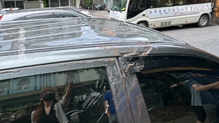 雙北強風路樹倒　砸凹轎車.險波及路過騎士