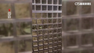 生死瞬間！　基隆民宅土石流灌入　一家5口急逃出