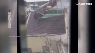 高雄現17級強陣風！　鳳山鐵皮屋頂吹掀.路樹連根拔