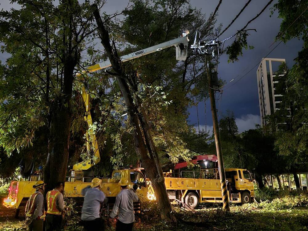 台電新竹區處支援左營區蓮池潭公園內線路遭樹木壓損搶修工作。圖／台電提供