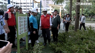 高雄災情慘！　鐵皮屋掀飛.車輛遭砸毀　拚恢復市容