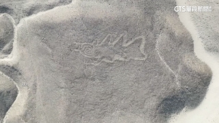 日研究團隊運用AI科技　找出303幅古文明地畫