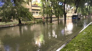 女子颱風天徒手清水溝被讚「天使」　本人現身親曝原因：只是想保護大家