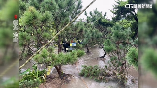金山暴溪奪命　地瓜農夫妻聚餐返家途中遭沖走雙亡