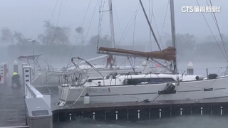 遊艇業控羊角樁斷疑豆腐渣　海洋局：停泊尺寸超標