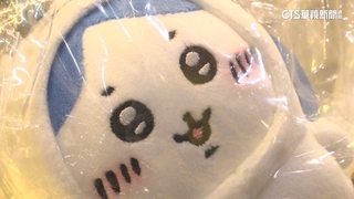 334元娃娃網喊價1.7萬！　吉伊卡哇熱潮代購賺50倍