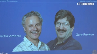 諾貝爾生醫獎揭曉　美2生物學家共享殊榮