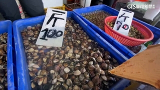 颱風過後蛤蜊逾8成暴斃　貴！零售價「1斤150元」