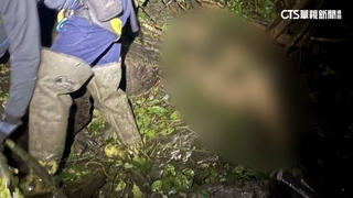 力行產業道路轎車墜50米山谷　製茶師拋飛身亡