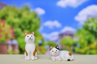 逾9成上班族每天花2.5小時陪寵物玩  寵物相關職缺年增12%