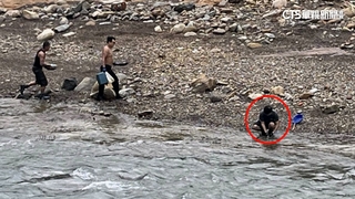 金價又創新高！　員山子分洪上游「淘金熱」　警柔性勸離