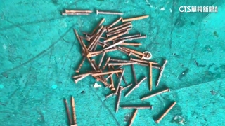 「撒釘怪客」現身高雄被逮！　法院裁定無保請回