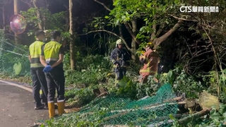 新北五股轎車夜走山路　墜邊坡酒駕送辦