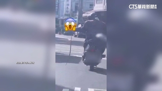 真「蛇行」！騎士抓1米長大蛇　單手超車路人看傻