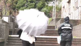 快訊》未達停班課標準　基北北25日正常上班上課