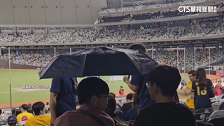 「消光塗料」致大巨蛋漏水？　蔣萬安：10月底前須改善