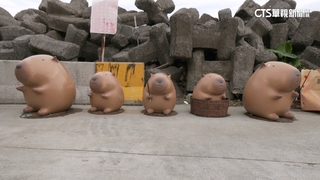 象鼻岩斷鼻變「水豚岩」　打卡新「萌」點遊客多