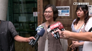 與黨分歧？與王婉諭同場爭副主席？　蔡壁如：僅交流