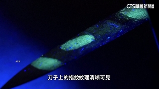 法醫鑑識新利器　「奈米螢光粉」讓指紋細節更清晰