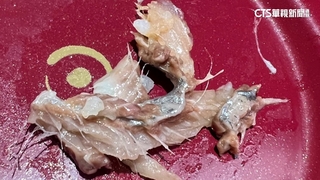 知名連鎖壽司吃到滿嘴魚刺　業者：已致歉賠償