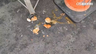 18歲男無照毒駕撞死人　民眾氣憤蛋洗住家遭逮