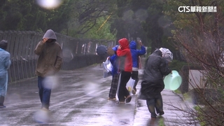 康芮進逼！　陽明山風強雨驟　文大全面「遠距授課」
