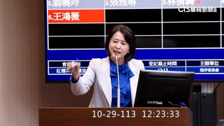 王鴻薇轟沈發惠糗罵錯人　綠批「造謠現行犯」