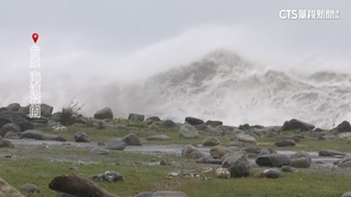 直擊！　台東富岡漁港掀十米巨浪　強風襲「記者站不穩」
