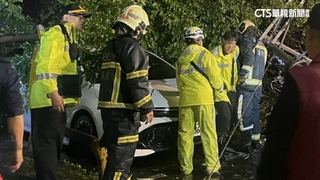 台北市內湖大樹倒塌！　男騎士遭砸送醫宣告不治
