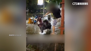 男「隨機踹倒機車」　錄影嘻笑「颱風倒幾台正常吧」引議
