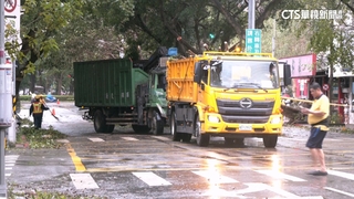 北市通報千件路樹倒　蔣萬安：主要幹道已清8成