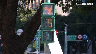 科博館「暴龍」號誌燈吸睛！　綠燈快走.紅燈「生氣噴火」