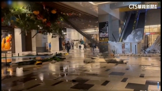 「大樹爺爺」倒　員工母控遭吹飛重摔無人理　商場：會檢討