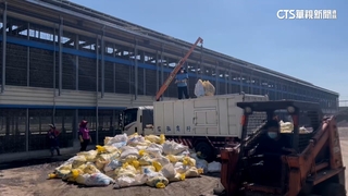 嘉義蛋雞場爆禽流感！撲殺5.8萬隻雞　未影響產量