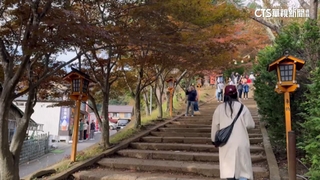 暖化影響日本楓葉大遲到！　罕見秋颱「銀杏」生成